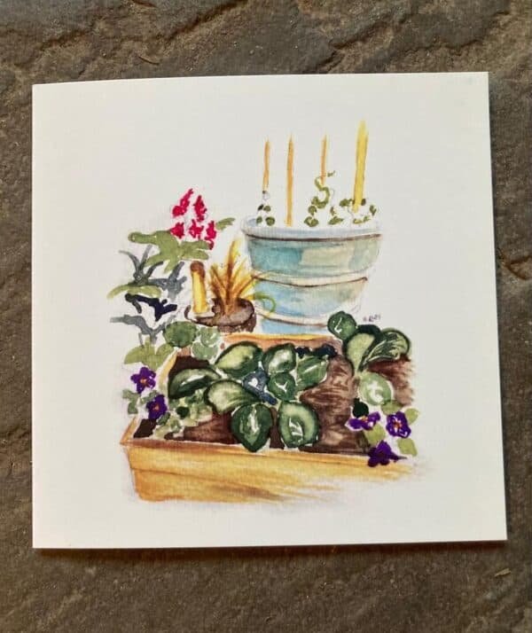 edible garden