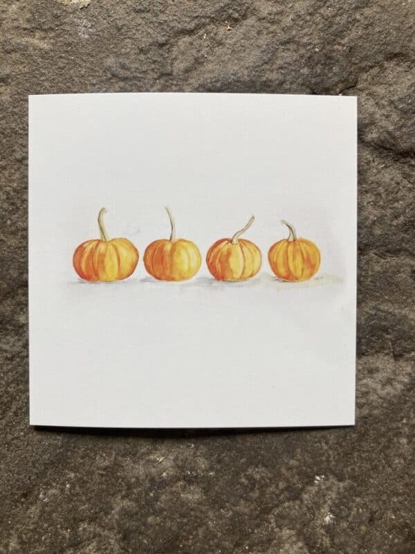 Pumpkin