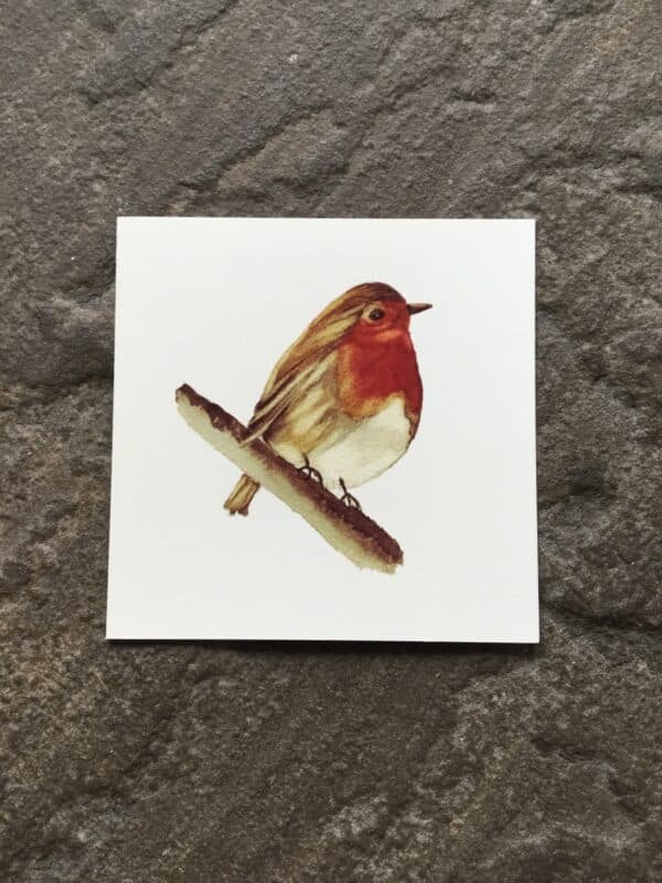 Robin