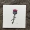Thistle