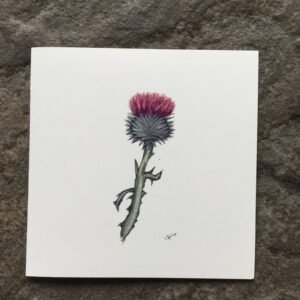 Thistle