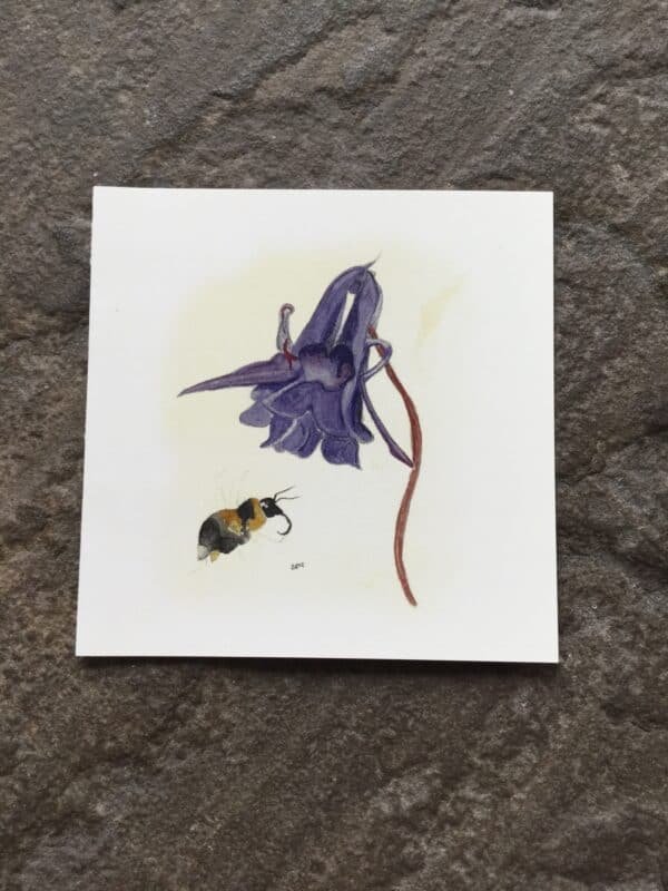 beeinyourbonnet
