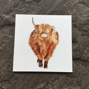 Highland Cow “Morag”