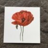 Poppy