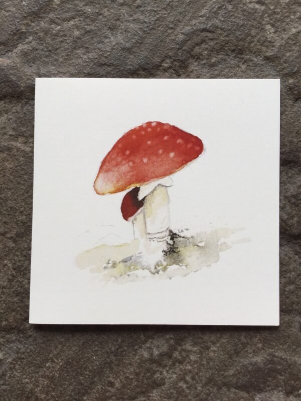 Woodland Floor