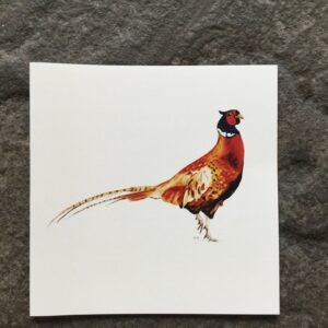 Pheasant