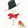 snowman and the robin